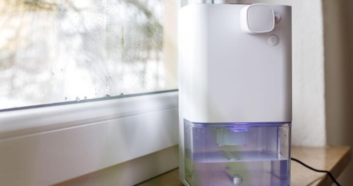 🏠 Lifelong Dehumidifier for Room Moisture Absorption – Detailed Review & Buying Guide