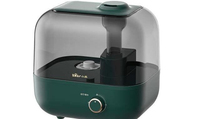 Bear® 5L Humidifier for Room Moisture Essential Oil Allow 28dB Review (2026)
